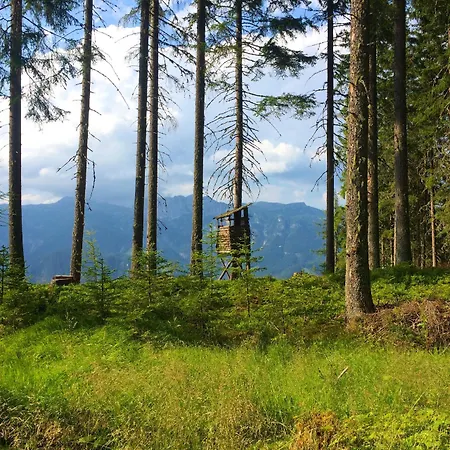 Berggasthof Scharfetter * Хаус-им-Энншталь